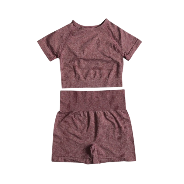 Women's Sports Set Shorts and Short Sleeve T-Shirt Plain Fitness Set Made of Nylon, Polyester and Spandex burgundy M