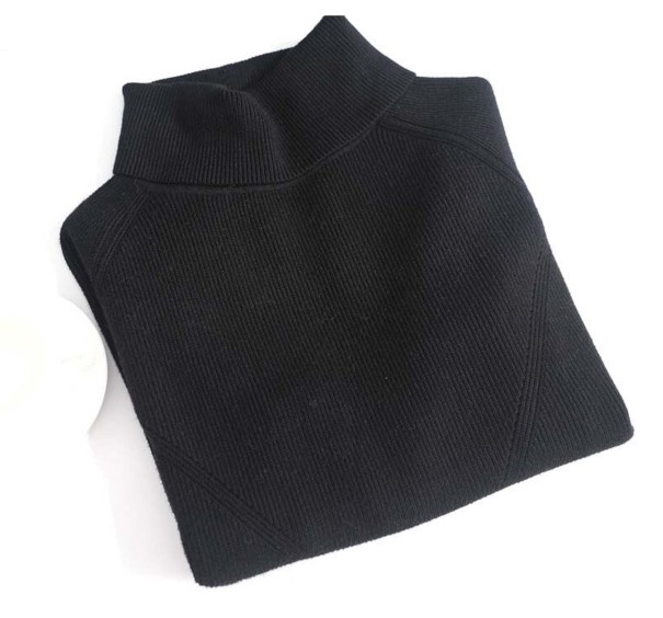 Women's Turtleneck A2964 black