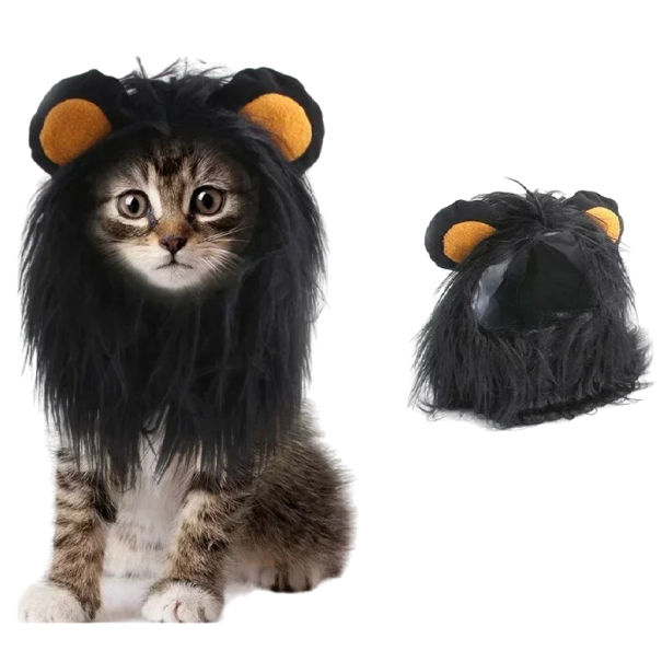 Zwarte leeuw kat kostuum Halloween kattenkostuum Schattig huisdierkostuum Leeuw manen kat kostuum S