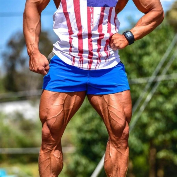 Zweifarbige Herrenshorts blau S