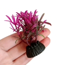 10 ks Umelé morské riasy do akvária 5,5 x 2 cm Realistické akvarijné rastliny Bezúdržbová dekorácia Bezpečné pre ryby Vhodné do nádrží 7