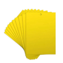 10 pcs pièges collants double face pour insectes 20 x 15 cm Plaques adhésives contre les mouches, moustiques et mites Protection non toxique pour la maison et le jardin 1