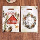 10 sacos plásticos de Natal 16,3 x 25 cm Sacos de presente com vários motivos para pequenos presentes, doces, bolachas e surpresas de Natal 6
