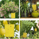 10 stk. dobbeltsidede klæbeposer til insekter 20 x 15 cm Klæbepuder mod fluer, myg og møl Giftfri beskyttelse af hjemmet og haven 3