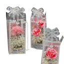 10 Stück Transparente PVC Boxen 15 x 8 x 8 cm Plastik Geschenkbüchsen mit Schleife und Herzen Hochzeitsverpackung für Süßigkeiten Weihnachtsgeschenkverpackungen Elegante dekorative Boxen 8