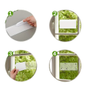 10 unid. Armadilhas adesivas transparentes para moscas 21 × 7 cm armadilhas adesivas à prova de água para vidro de janelas e portas para captura de insetos voadores 3