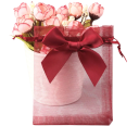 10 unidades de Bolsas de Regalo de Organza 9 x 12 cm Bolsas con Cierre de Cuerda y Lazo Fiesta Navideña Embalaje de Boda para Dulces Joyería 13