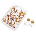100 ks připínáčky na nástěnku barevné hlavičky 10×10 mm plast kov kancelářské špendlíky pro připnutí poznámek a dokumentů 6
