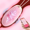 Vibrerande ägg med mobilapp, 10 vibrationslägen, 6 kontrolllägen, dragsladd, USB-laddning, diskret förpackning 6