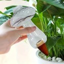 Självbevattnande svampset med keramisk spets för blommor transparent svamp krukväxtbevattnare 4