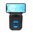 Trådlös Bluetooth 5.0 Karaoke-högtalare Bärbar Dubbel Stereohögtalare LED-ljus FM-radio Stark Bas 500mAh Hemmaljud 2