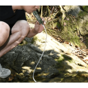 Mini vattenfilter för överlevnad 12 x 3,2 cm Bärbart vattenfilter med anslutning Utomhusfilter för vandring Camping grön 5