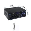 Bluetooth Hi-Fi stereo zesilovač AK45 s mikrofonními vstupy Rádio USB SD AUX Dálkové ovládání Zvukový přehrávač 2