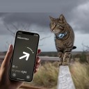 Säkerhetskrage för katt med hållare för lokaliseringschip Reflekterande justerbar krage med bjällra 22–32 cm 11