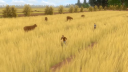 Forgotten Fields EU PS5 CD Nyckel 8
