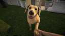 Pets Hotel EU PS5 CD Nyckel CD nyckel 2