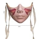 Masque facial mécanique demi-masque avec motif sur les joues Masque de cosplay de carnaval Halloween Différentes couleurs Accessoire de costume 5