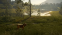 theHunter: Call of the Wild Starter Bundle Steam CD Nyckel 5