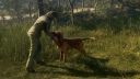 theHunter: Call of the Wild Starter Bundle Steam CD Nyckel 9