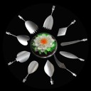 11 pcs Ensemble de moules pour la fabrication de fleurs en gélatine 1