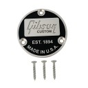 Bakre metall dekorativt skydd för switch med texten EST.1894 MADE IN U.S.A. för elgitarr Gibson 2