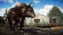 Far Cry 5 Gold Edition XBOX One / Xbox Series X|S Konto 2