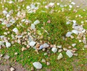 Dekorationssats för skapande av miniatyrlandskap påse med stengräs, grön växtlighet och små stenar för sandbord 1