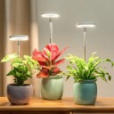 Lampe de culture LED télescopique Lampe réglable pour la culture des plantes avec tête rotative et régulation de l'intensité 2