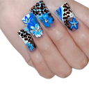 Leopardblommig stil 24 st Akryl konstgjorda naglar Duck Nails Utvidgad form Kompletta tips 12 storlekar För salong och hemmamanikyr 1