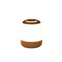 LED-lampa nattljus med justerbar ljusstyrka USB-laddning varmt och kallt ljus dekoration för sovrum och kök 1