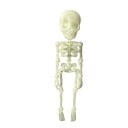 Dekorative Skelettfigur, die im Dunkeln leuchtet, 18 x 4 x 3 cm, Halloween-Dekoration, phosphoreszierende Statue für den Innenbereich 1