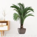 Pegatina de pared 49 x 62 cm Planta tropical PVC Pegatina decorativa Hojas Decoración de pared para sala de estar dormitorio 2