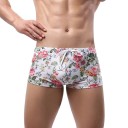 Pánské plavky Polyamid Spandex Bílé Potisky listů a květin Na tkaničku Letní plážové k bazénu Moře Sportovní 2