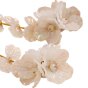 Komplex set 14 cm Halsband 13 cm Örhängen Punkblomma Kreativ elegant dam uttalande smycken Fest set 4