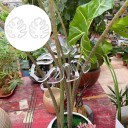 Stöd för växter i form av monstera blad 14 × 9 cm, transparent stöd för stjälkar till inomhus- och klätterväxter 3
