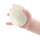 12 unidades de Huevos de Jugar con Dinosaurios 4,5 x 6 cm Juguete Educativo para Clasificación Desarrollo de la Motricidad y Coordinación Mano–Ojo Caja 7