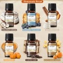 Ensemble d'huiles parfumées Homemade Bread 6×10 ml emballage cadeau 165 × 72 mm noix de coco chocolat café pour diffuseur aromathérapie 2