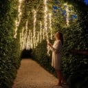 LED ljusöverhäng Strängar 2,5 m Ljusregn Strömförsörjning 220 V EU-kontakt Transparent kabel Varm vit Trädgårdsdekoration för träd och pergola 1