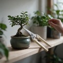 Trädgårdssax med raka spetsiga blad 19,2 cm Metallblad och beige halkfri handtag med lås För blommor, örter och frukt 6