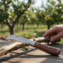 Fällbar ympkniv med böjd blad Trädgårdskniv för ympning och beskärning Rostfritt stål Brun trärhandtag För fruktträd 2