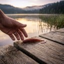 Gummibait twister 6,5 cm 10 stk Ribbet krop og snoet hale Vægt 2,5 g Til aborre og rovfisk 4