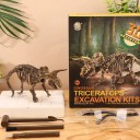 Excavare 3D schelet Triceratops de asamblat Bloc de gips cu unelte și ochelari de protecție Ambalaj 23 x 19 x 6 cm Jucărie educativă 2