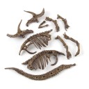 Excavare 3D schelet Triceratops de asamblat Bloc de gips cu unelte și ochelari de protecție Ambalaj 23 x 19 x 6 cm Jucărie educativă 3