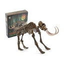 Excavare 3D schelet de Mamut de asamblat Bloc de gips cu unelte și ochelari de protecție Ambalaj 23 x 19 x 6 cm Jucărie educativă 1