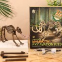 Excavare 3D schelet de Mamut de asamblat Bloc de gips cu unelte și ochelari de protecție Ambalaj 23 x 19 x 6 cm Jucărie educativă 2