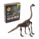 Udkast 3D skelet af Brachiosaurus til samling Gipsblok med værktøj og beskyttelsesbriller Pakke 23 x 19 x 6 cm Uddannelseslegetøj 1
