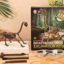 Udkast 3D skelet af Brachiosaurus til samling Gipsblok med værktøj og beskyttelsesbriller Pakke 23 x 19 x 6 cm Uddannelseslegetøj 2