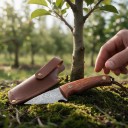 Cuțit de altoit cu lamă ascuțită și teacă din piele 17,4 cm Lama cu tăiș unic Lamă cu model damasc Răhandle din santal Culoare maro 5