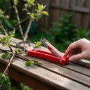 Škrabka na kůru stromů s hranatou hlavou 17 cm Oboustranné ostří z manganové oceli Červená plastová rukojeť Na kroužkování a roubování 2