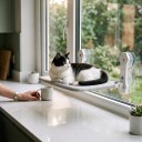Faltbares Katzenbett für das Fenster 60 x 30 cm Mit 4 Saugnäpfen Weicher, wärmender Plüsch Grau Aussichtsliege für Glas und glatte Wände 4